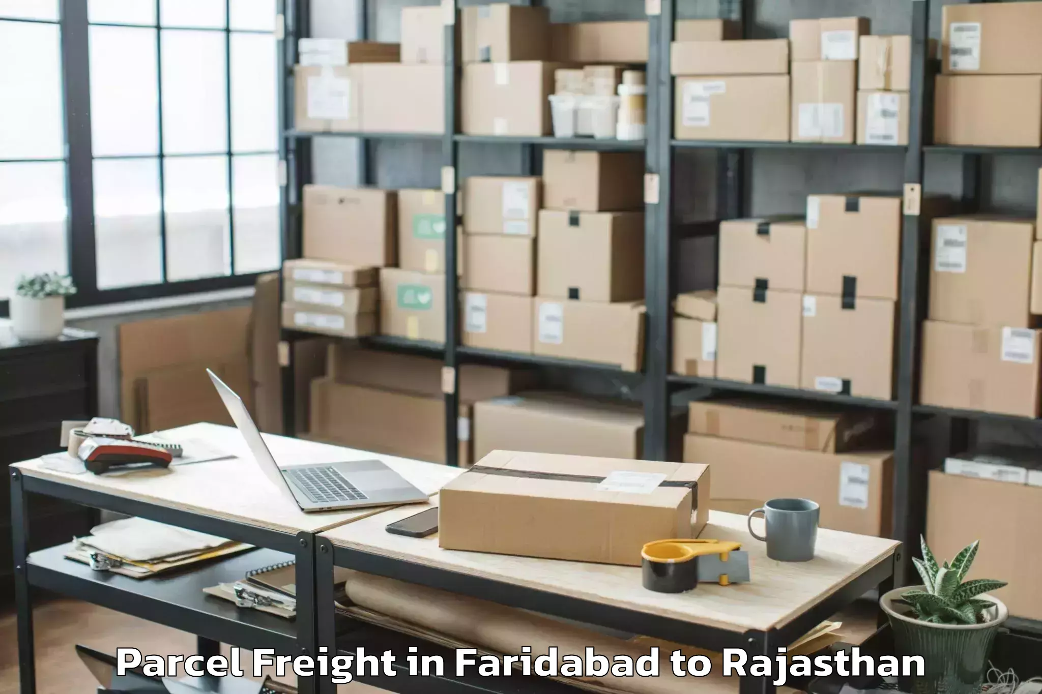 Top Faridabad to Raffles University Neemrana Parcel Freight Available